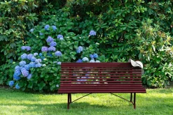 BANC 200 CM