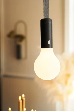 PACK LAMPE H.24 ET SANGLE DE SUSPENSION