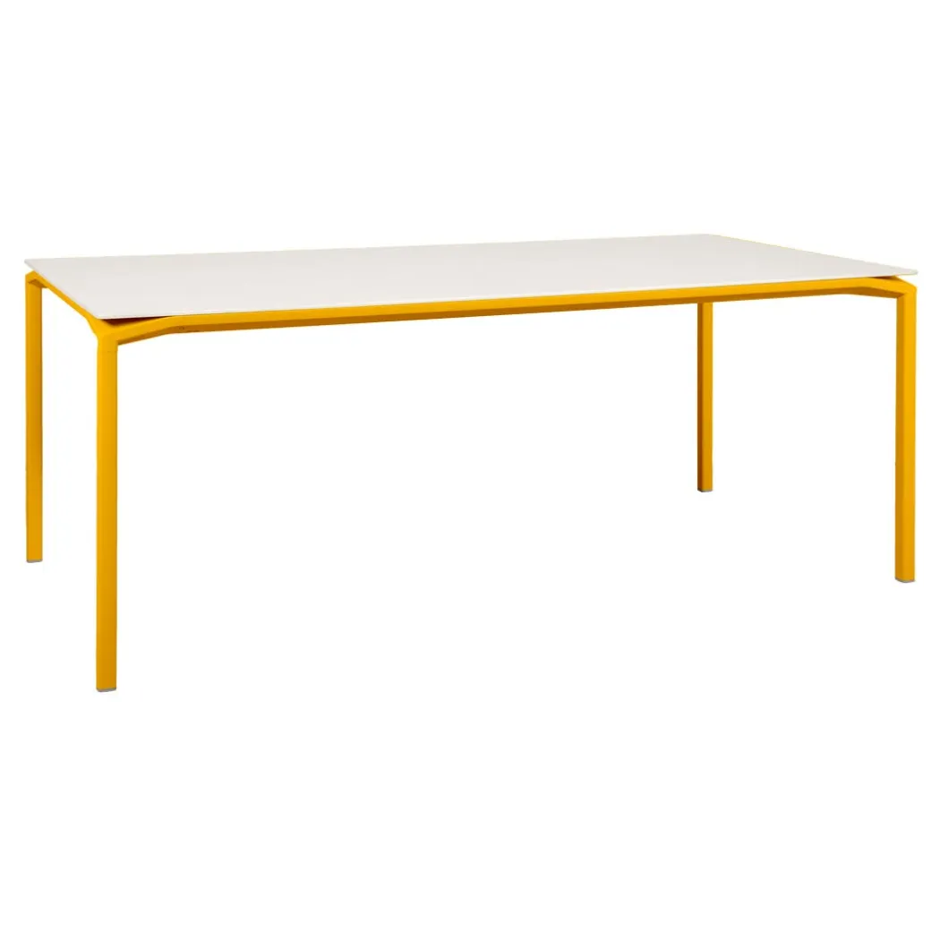 TABLE MINÉRALE 195 X 95 CM
