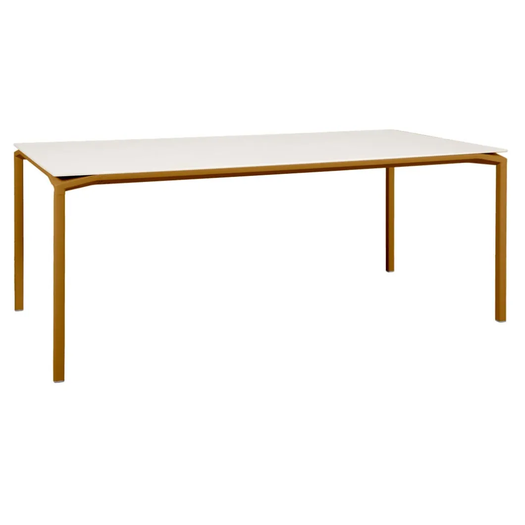 TABLE MINÉRALE 195 X 95 CM