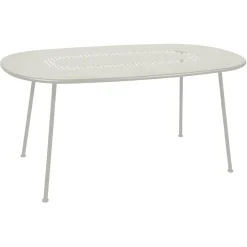 TABLE OVALE 160 X 90 CM