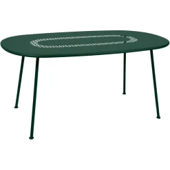 TABLE OVALE 160 X 90 CM