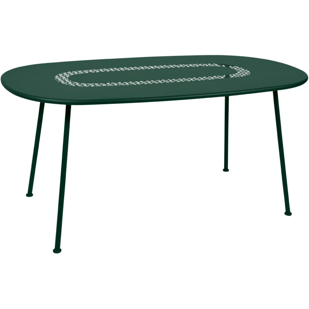 TABLE OVALE 160 X 90 CM