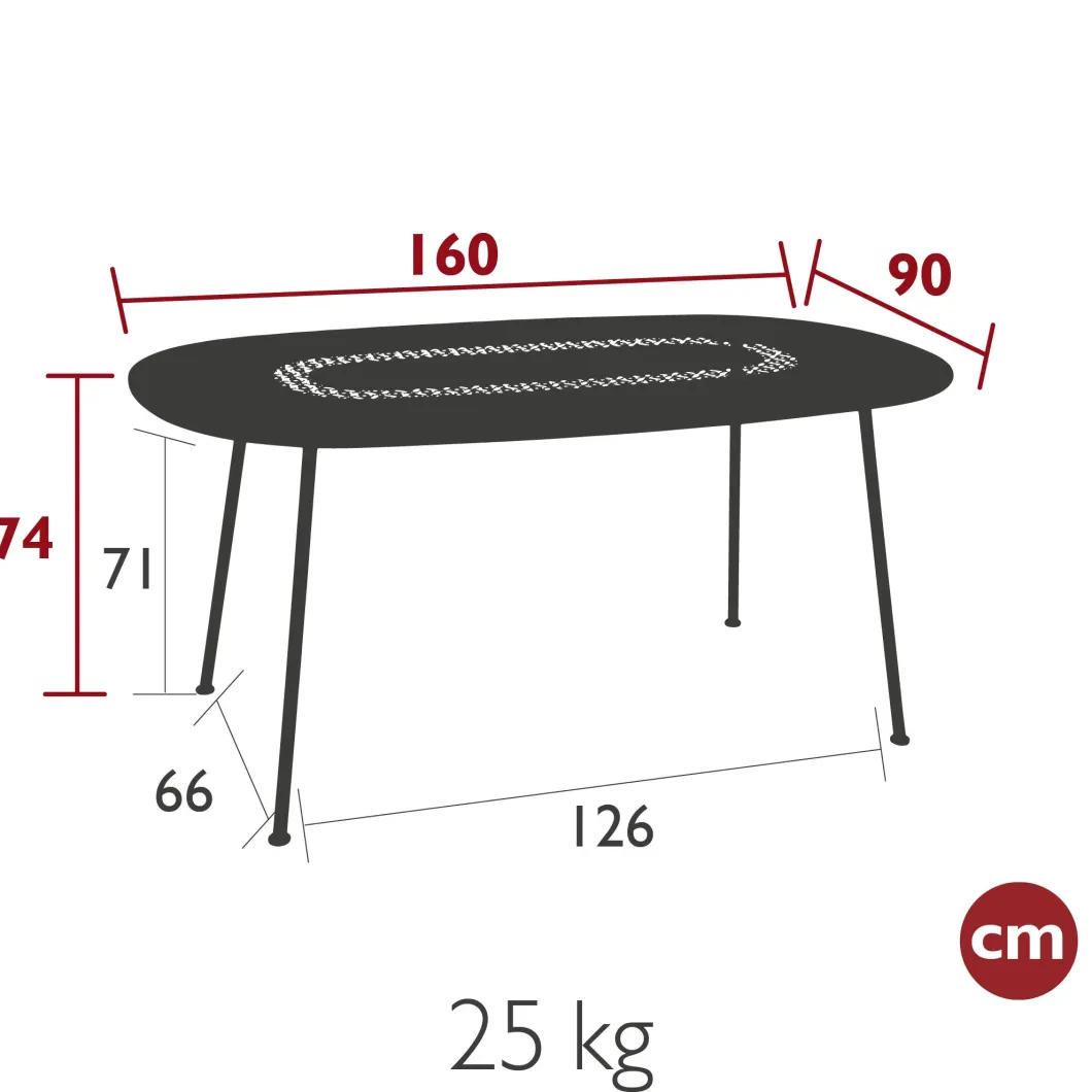 TABLE OVALE 160 X 90 CM