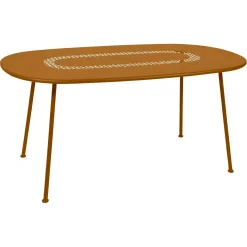 TABLE OVALE 160 X 90 CM
