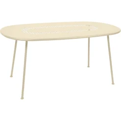 TABLE OVALE 160 X 90 CM
