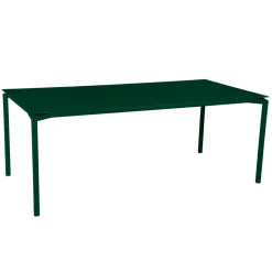 TABLE 195 X 95 CM