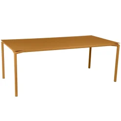 TABLE 195 X 95 CM