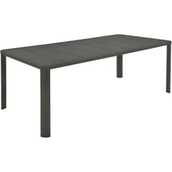 TABLE 205 X 100 CM