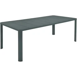 TABLE 205 X 100 CM