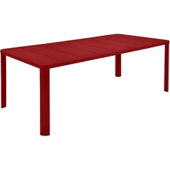 TABLE 205 X 100 CM